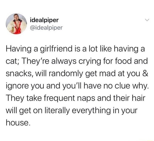Idealpiper Having a girlfriend is a lot like having a cat; They're