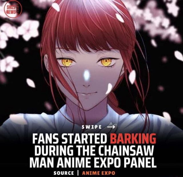 Chainsaw Man Anime Expo 2022 Panel Recap