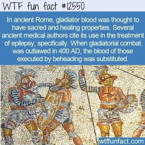 WTF fun fact #12550 In ancient Rome, gladiator blood was thought to ...