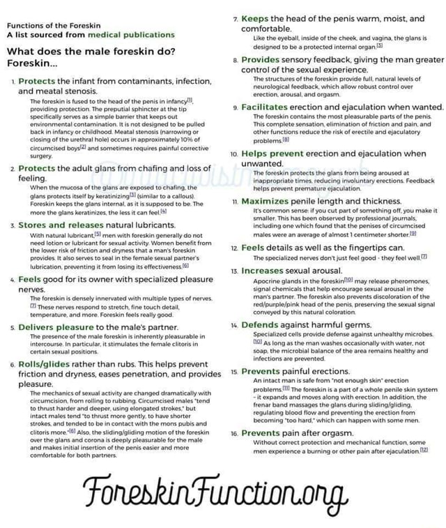 Functions Of The Foreskin A List Sourced From Medical Publications What