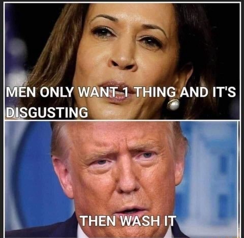 b6906b08cb3f2b2bfcb2bb7a6dcff5dc780d0ffa2ece79b546a76c57d51d7b07_1.jpg