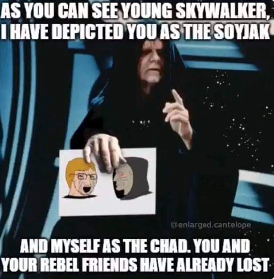 As You Can See Young Skywalker Have Depicted You As The Soyjak And Myself As The Chad You And Your Rebel Friends Have Already Lost