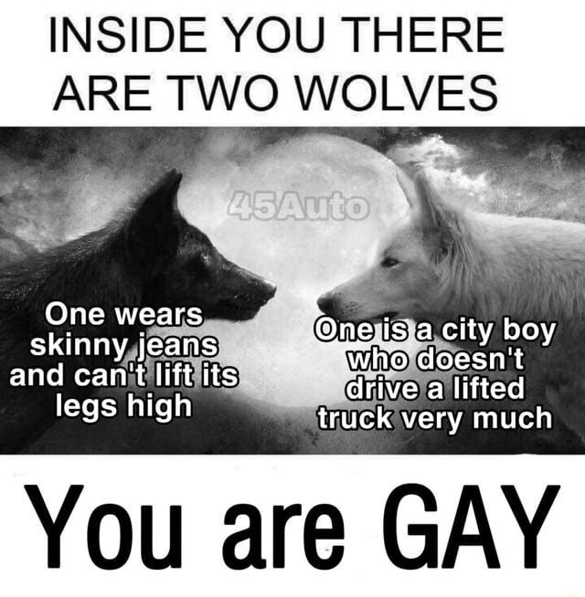 there are two wolves you are gay meme