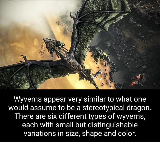 Toll Wyverns appear very similar to what one would assume to be a ...