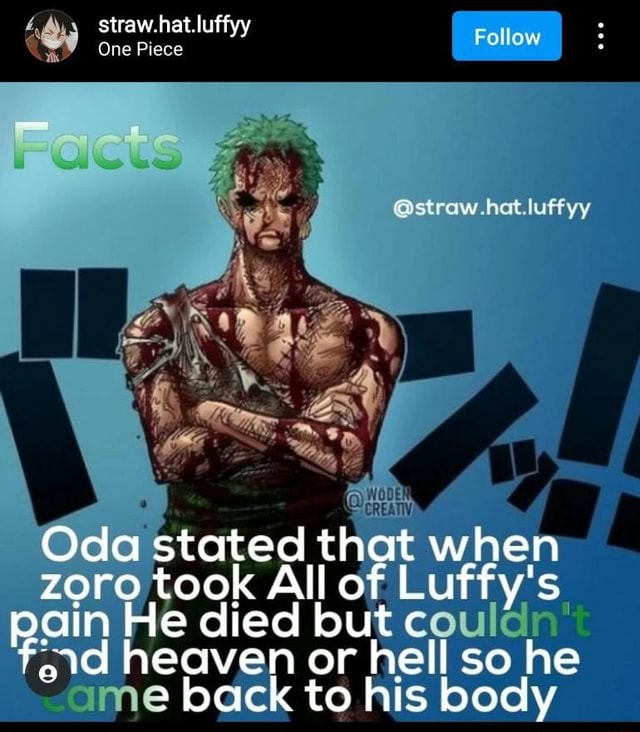 Straw. hat. luffyy One Piece Fe Follow bat lattyy zoro took All of