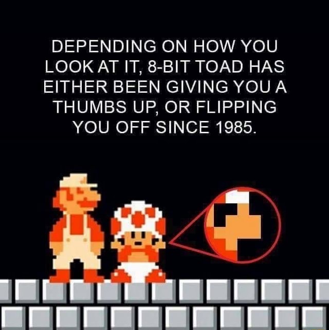 DEPENDING ON HOW YOU LOOK AT IT, 8-BIT TOAD HAS EITHER BEEN GIVING YOU ...