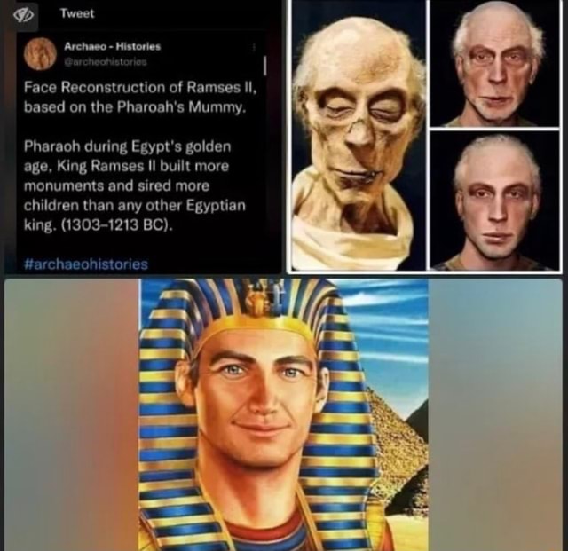 Tweet Face Reconstruction Of Ramses Il Based On The Pharoahs Mummy Pharaoh During Egypts 5856