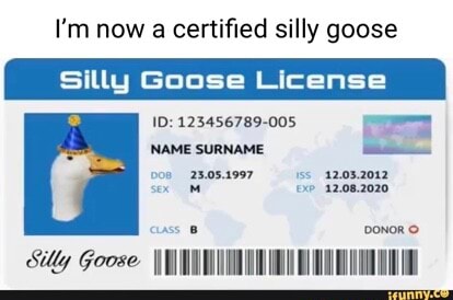 Silly Goose Id 