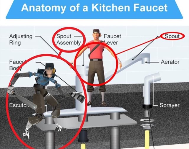 Anatomy of a Kitchen Faucet \ Aerator Sprayer Adjusting Spout Ring
