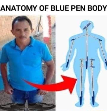 ANATOMY OF BLUE PEN BODY - iFunny