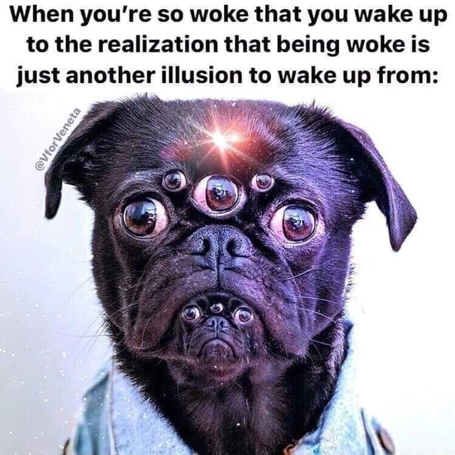 when-you-re-so-woke-that-you-wake-up-to-the-realization-that-being-woke