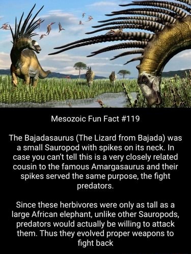 Mesozoic Fun Fact #119 The Bajadasaurus (The Lizard from Bajada) was a ...