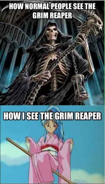 HOW NORMAL PEOPLE SEE THE GRIM REAPER HOW I SEE THE GRIM REAPER - iFunny
