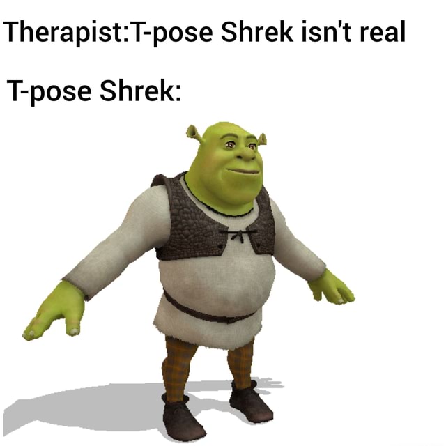 Therapist:T-pose Shrek isn't real T-pose Shrek: - iFunny