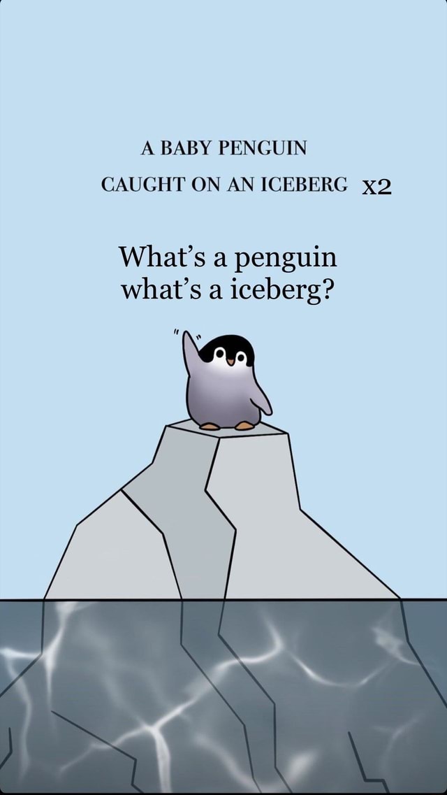 A BABY PENGUIN CAUGHT ON AN ICEBERG What's A Penguin What's A Iceberg ...