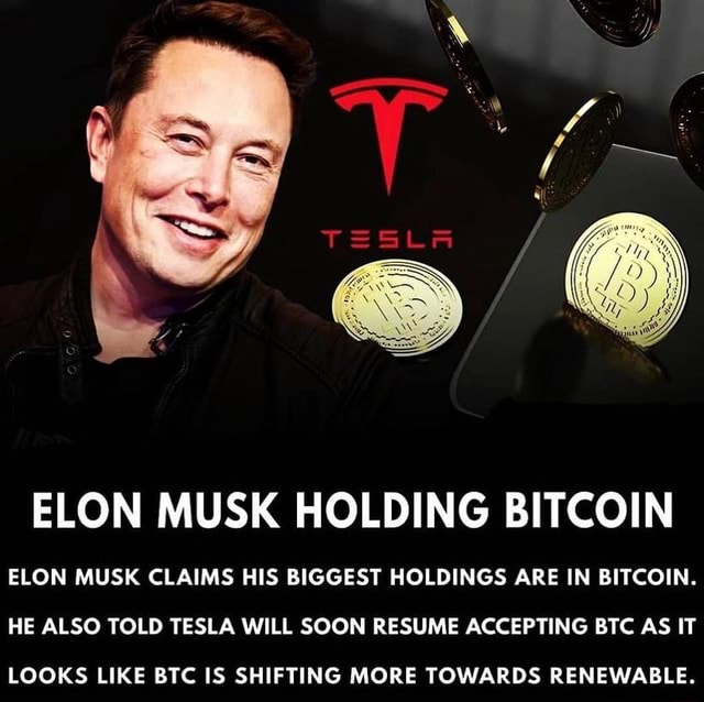 ELON MUSK HOLDING BITCOIN ELON MUSK CLAIMS HIS BIGGEST HOLDINGS ARE IN ...