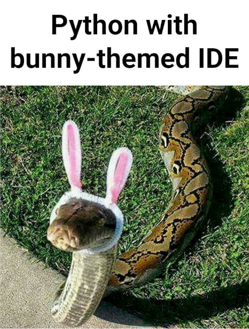 Python with bunny-themed IDE - iFunny