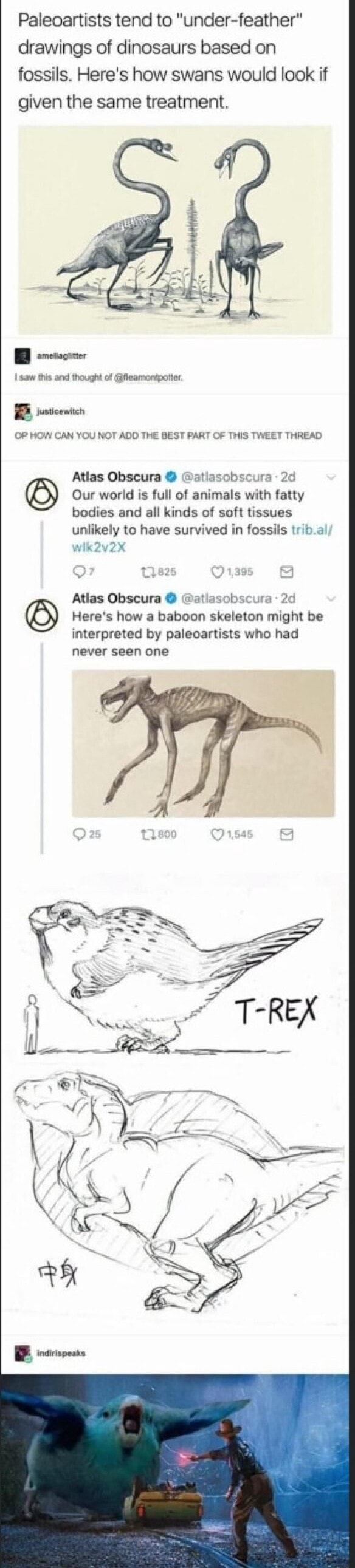 Paleoartists tend to 