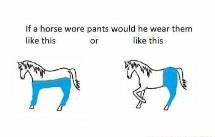 If a horse wore pants would he wear them like this or like this - )