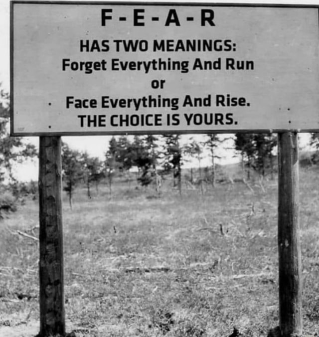 f-e-a-r-has-two-meanings-forget-everything-and-run-or-face-everything