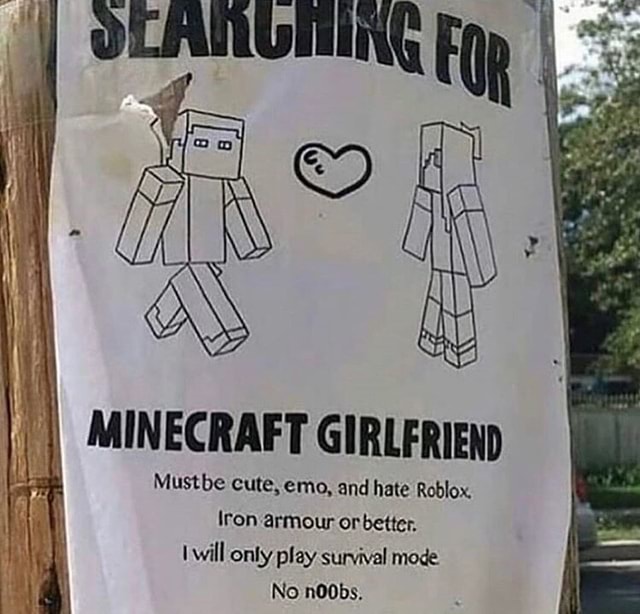 Minecraft Girlfriend Mustbe Cute Emo And Hate Roblox Iron Armour Or Better I Will Only Play Survival Mode No Noobs - roblox high school hate