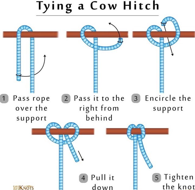 Tying a Cow Hitch @ Pass rope (2) Pass it che (3) Encircle the over the ...