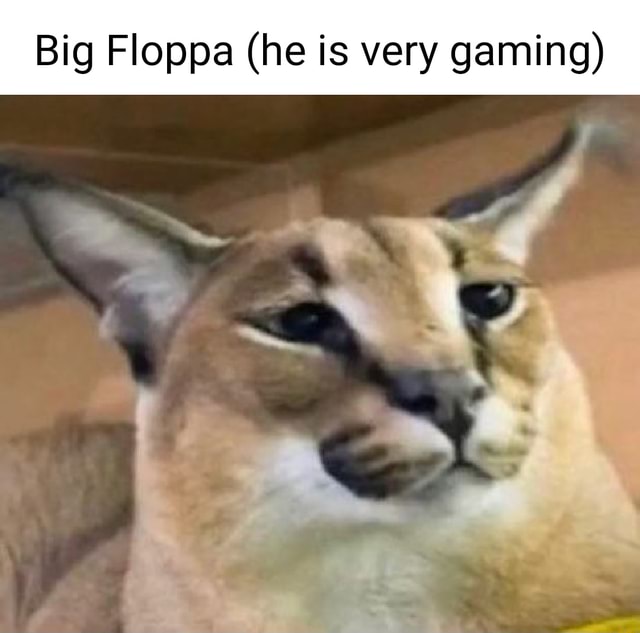 Big Floppa (he is very gaming) - iFunny