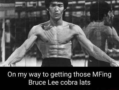 On my way to getting those MFing Bruce Lee cobra lats - iFunny