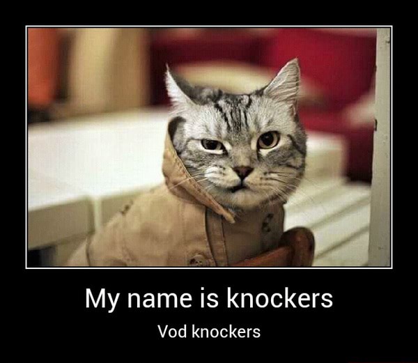My name is knockers Vod knockers My name is knockers Vod knockers )