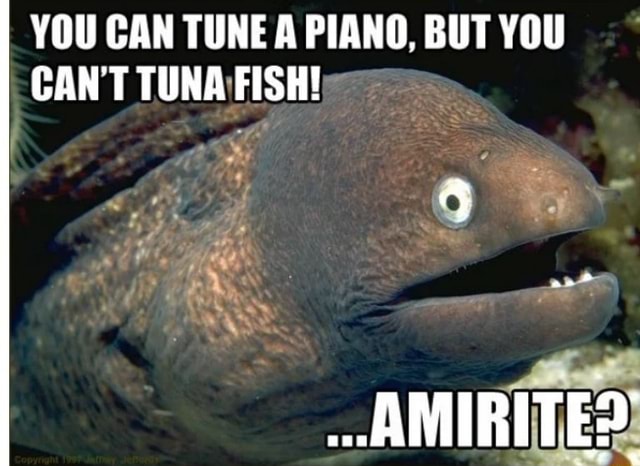 You Can Tune A Piano But You Can T Tuna Fish