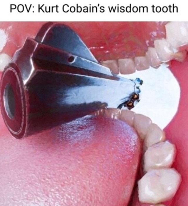 POV Kurt Cobain's wisdom tooth iFunny Brazil