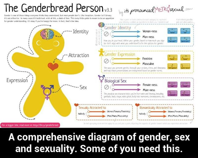 A Comprehensive Diagram Of Gender Sex And Sexuality Some Of You Need This 2055