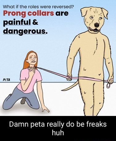 Multiple Collars Meme What if the roles were reversed? Prong collars are painful & dangerous ...