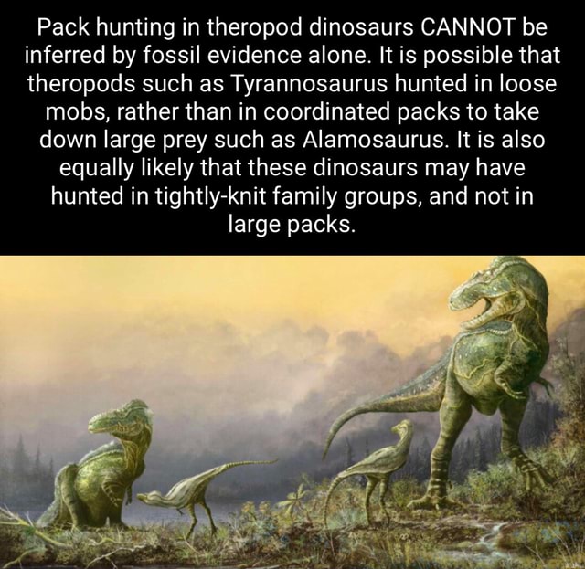 Pack hunting in theropod dinosaurs CANNOT be inferred by fossil ...