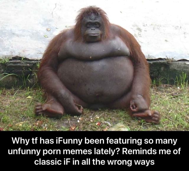 640px x 578px - Rs Why tf has iFunny been featuring so many unfunny porn memes lately?  Reminds me of classic iF in all the wrong ways - Why tf has iFunny been  featuring so many