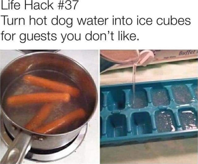 Turn hot dog water for guests you don ri r into ice cubes like, - iFunny