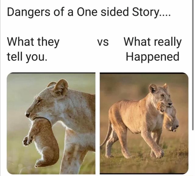 Dangers Of A One Sided Story What They Vs What Really Tell You Happened Ifunny