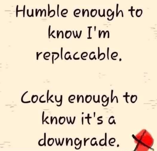 humble-enough-to-know-i-m-replaceable-cocky-enough-to-know-it-s