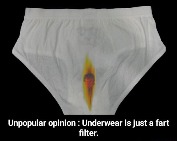 Unpopular opinion Underwear is just a fart filter. - Unpopular