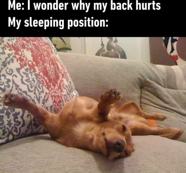 Me: I wonder why my back hurts My sleeping position: - iFunny Brazil