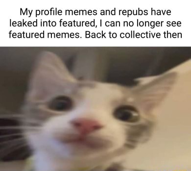 Picture memes shn3Ajq0A by SyloktheDefiIed - )