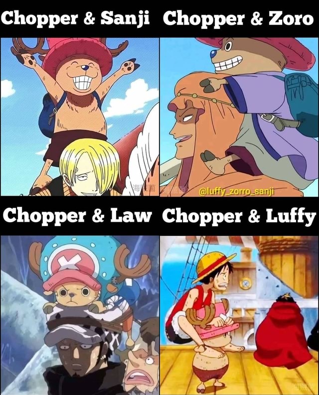 Respondendo a @.luna.menezeskkkk #Zoro #chopper #sanji #zoroxsanji #sa