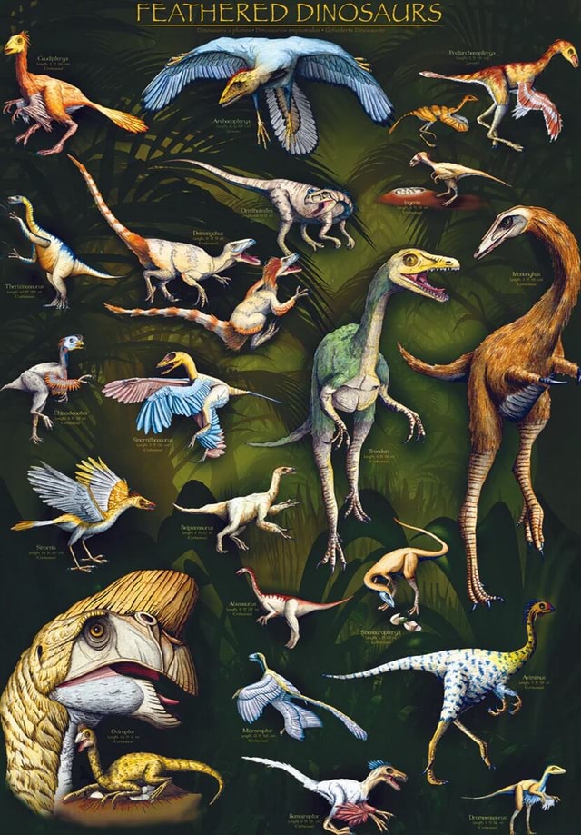 FEATHERED DINOSAURS - iFunny