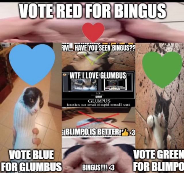 Vote Red For Bingus Have You Seen Wtf Love Glumbus Iblimpous Better 3 Vote Blue Vote Green Forglumbus For Blimpo Ifunny