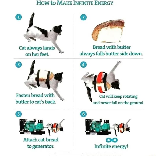 How to MAKE INFINITE ENERGY Cat always lands on her feet. of Fasten