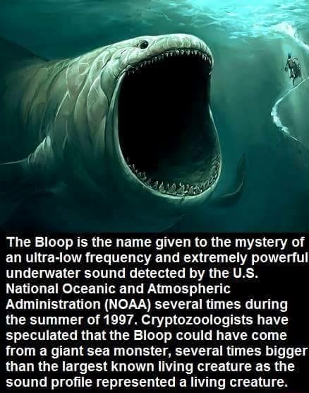 The Bloop is the name given to the mystery of an ultra-low frequency ...