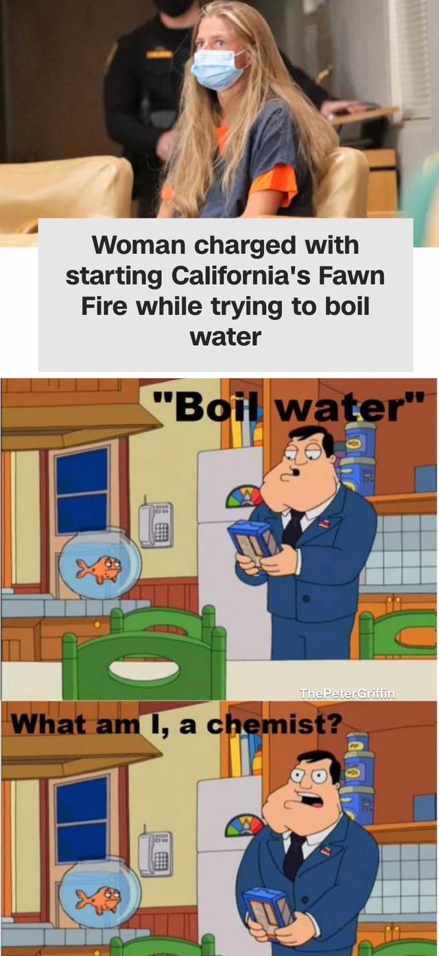 Woman charged with starting California's Fawn Fire while trying to boil ...