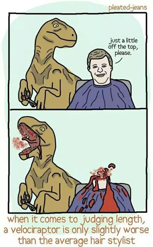 when-it-cmes-to-udging-length-a-velociraptor-is-on-y-slightly-worse-than-the-average-hair