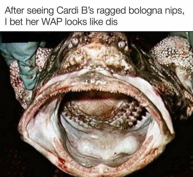 After Seeing Cardi B S Ragged Bologna Nips I Bet Her Wap Looks Like Dis