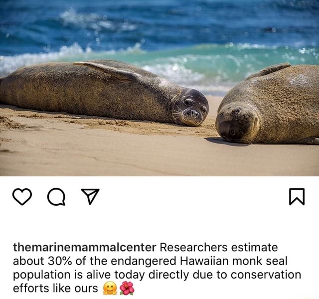 9 AV Al themarinemammalcenter Researchers estimate about 30% of the